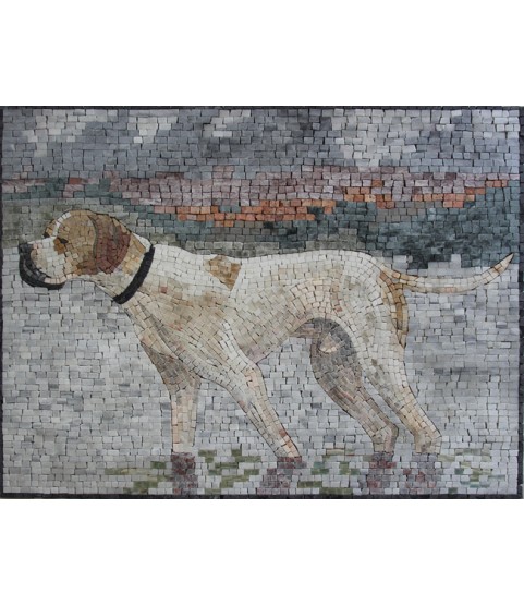 AN1129 Mosaic