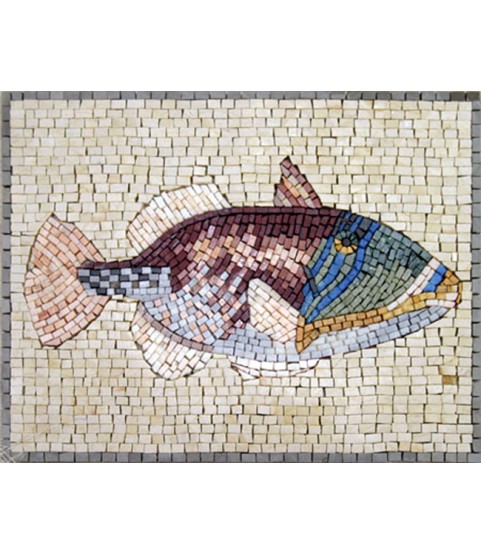 AN1139 Fish Mosaic