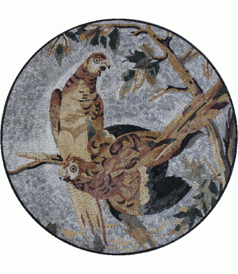 AN894 Beautiful Parrots Medallion  Mosaic