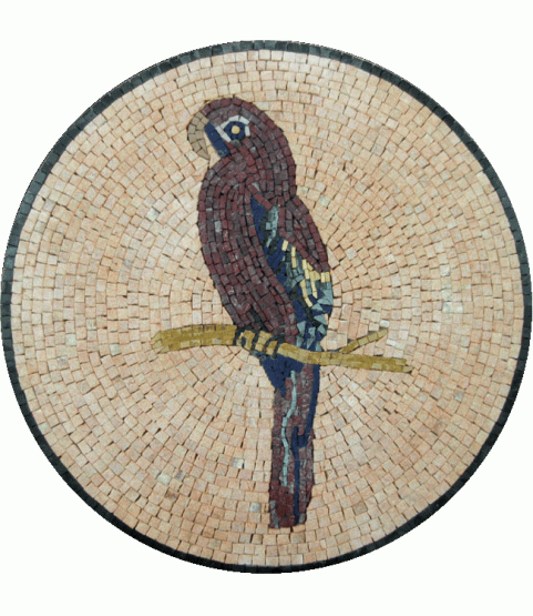 IN120 Mosaic
