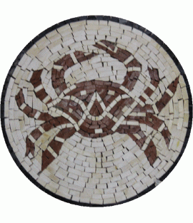 IN154 Mosaic