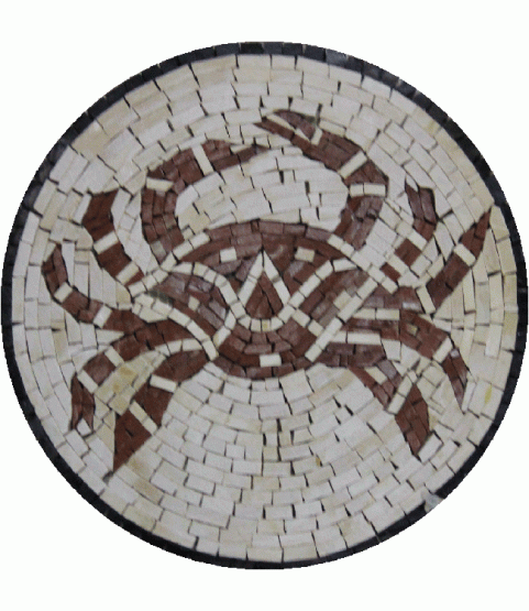 IN154 Mosaic