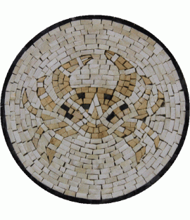 IN155 Mosaic