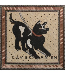 Cave Canem Square Mosaic Pompeii