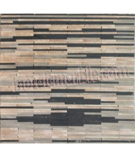 HF24 Mosaic