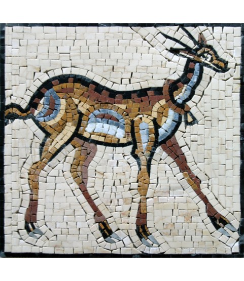 IN60 Mosaic