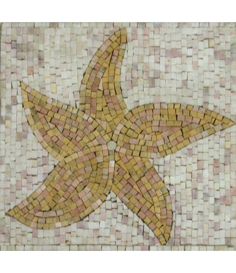 IN281 Mosaic