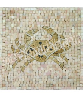 IN309 Mosaic