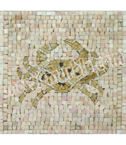 IN309 Mosaic