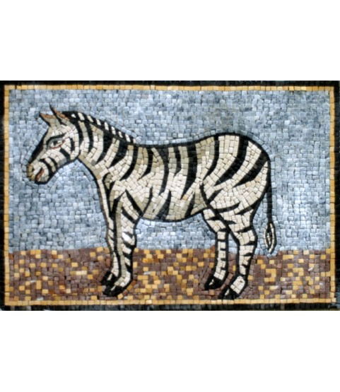 AN127 Zebra Mosaic