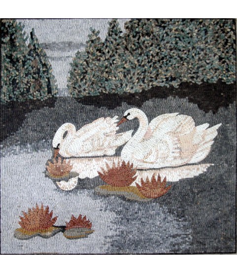 AN242 White swans on lake Mosaic