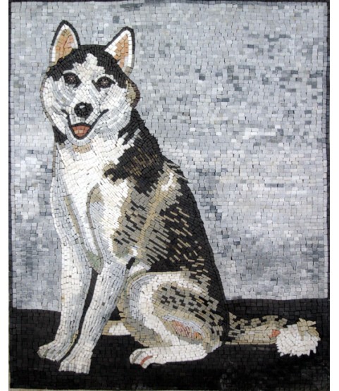 AN246 Beautiful husky  Mosaic