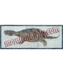 AN376(Polished Rug) Mosaic