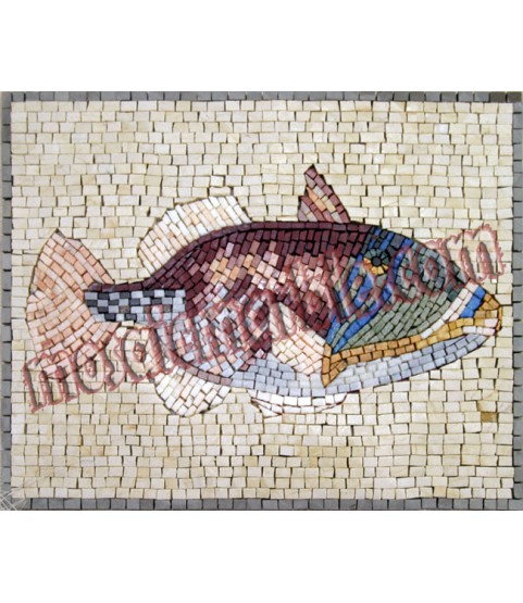 AN408 Beautifully colored fish Mosaic