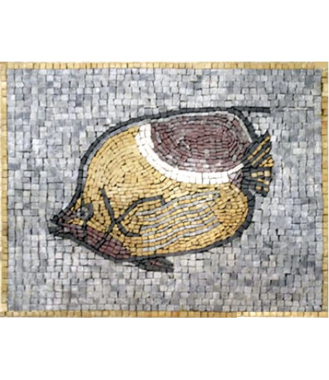 AN67 Big fish Mosaic