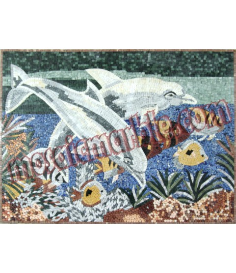 AN439 Beautiful dolphins & fish colorful Mosaic
