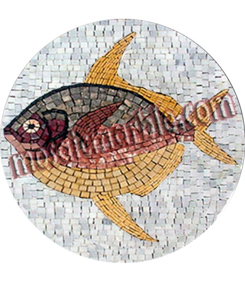 AN495 Big colorful fish Mosaic
