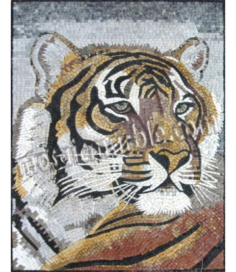 AN641 Tiger head Mosaic