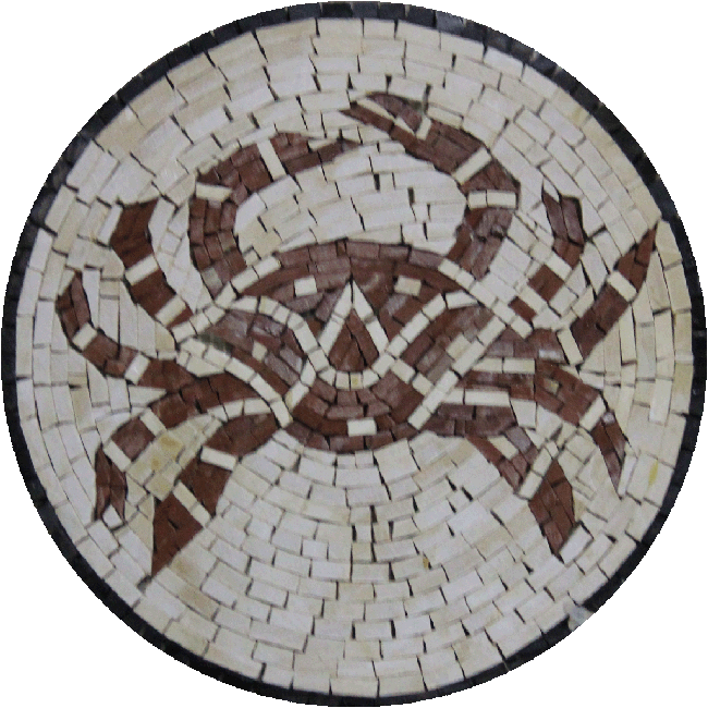IN154 Mosaic