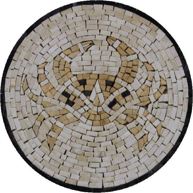 IN155 Mosaic