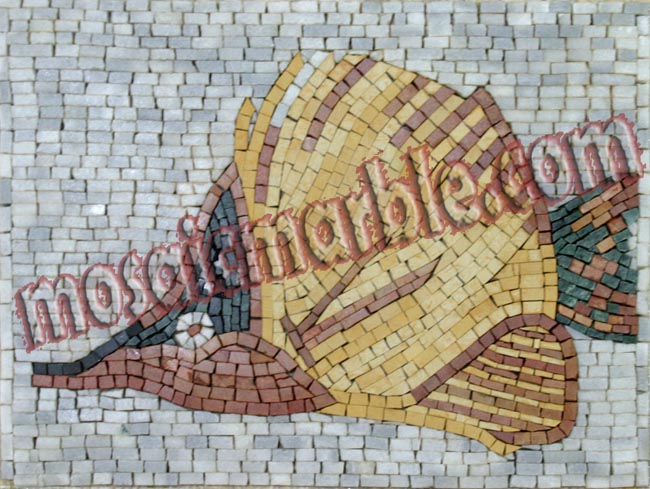 AN402 Beautifully colored fish Mosaic