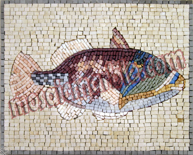 AN408 Beautifully colored fish Mosaic