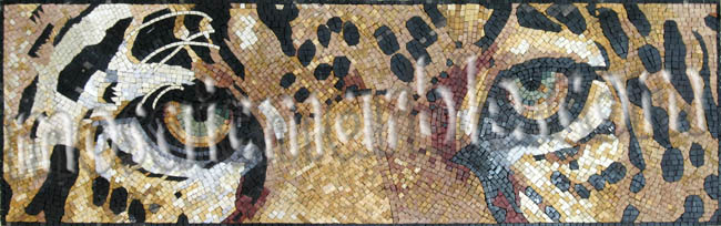 AN653 Lepard Eyes  Mosaic