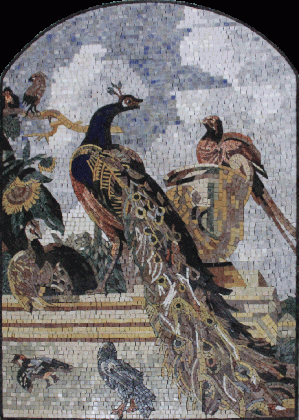 AN1084 Peacock Love Attract Pigeon Fun  Mosaic