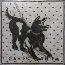 AN1088 Friendly Black Dog  Mosaic