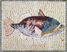 AN1139 Fish Mosaic