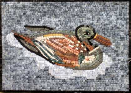 AN125 Swimming duck Mosaic