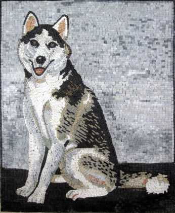 AN246 Beautiful husky  Mosaic