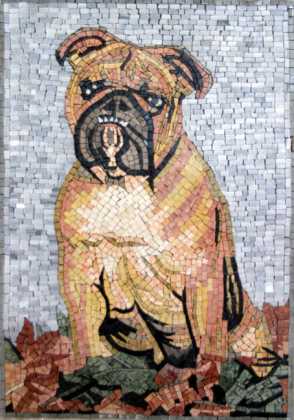 AN256 Bulldog Cute  Mosaic