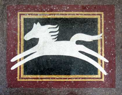 AN329 White horse design on frame background Mosaic