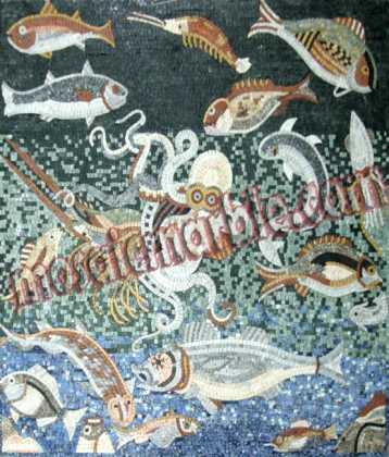 AN446 Rich ocean life Mosaic