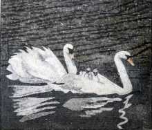 AN50 White swan family Mosaic