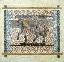 AN627 Horse colorful art design Mosaic