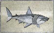 AN65 Whale Mosaic