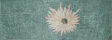 CR580 white neptunia Mosaic