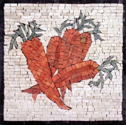 Orange Carrots Kitchen Backsplash Mosaic