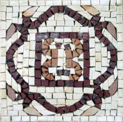 IN125 Mosaic