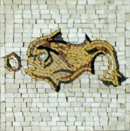 IN144 Mosaic