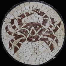 IN154 Mosaic