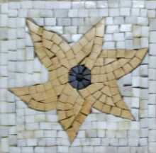 IN234 Mosaic
