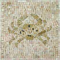 IN309 Mosaic