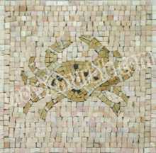 IN309 Mosaic